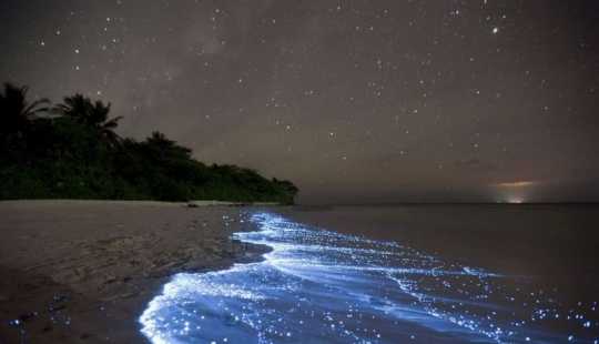 Not a drop of Photoshop! 25 photoproofs that from nature with imagination all right