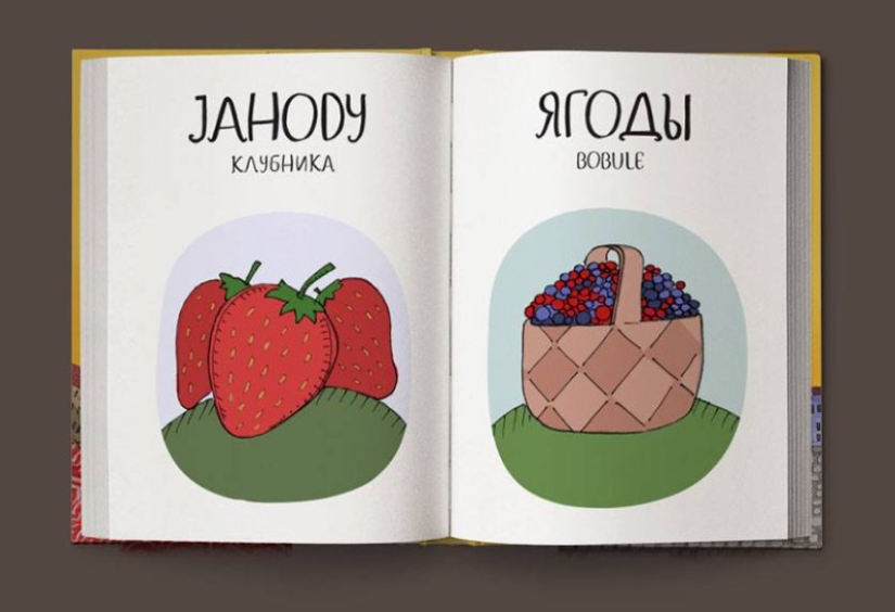 Not “crap”, but “game room”: a fun Czech-Russian picture dictionary