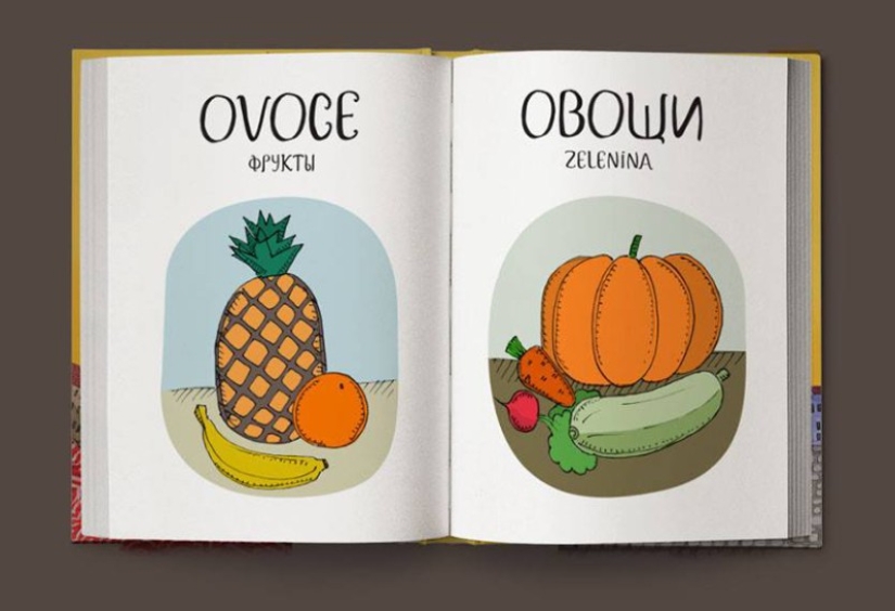 Not “crap”, but “game room”: a fun Czech-Russian picture dictionary