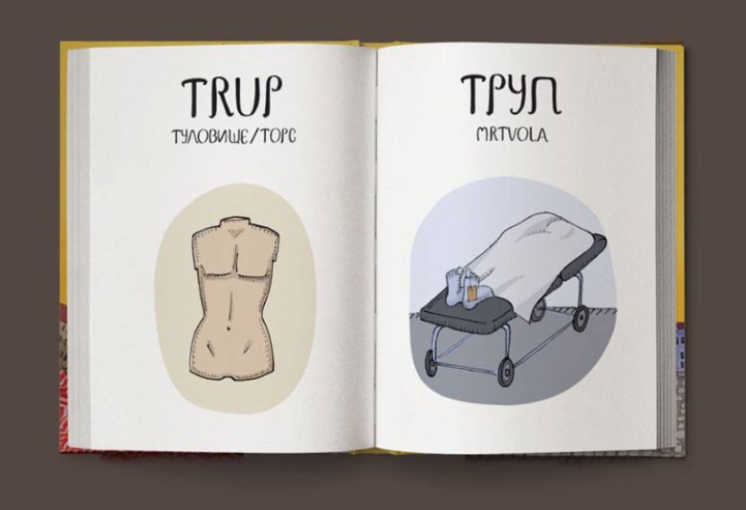 Not “crap”, but “game room”: a fun Czech-Russian picture dictionary