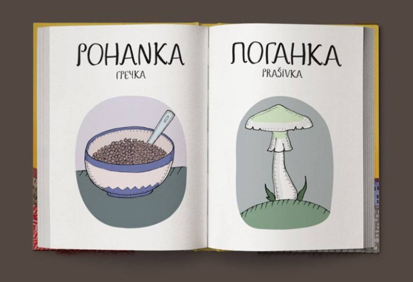 Not “crap”, but “game room”: a fun Czech-Russian picture dictionary