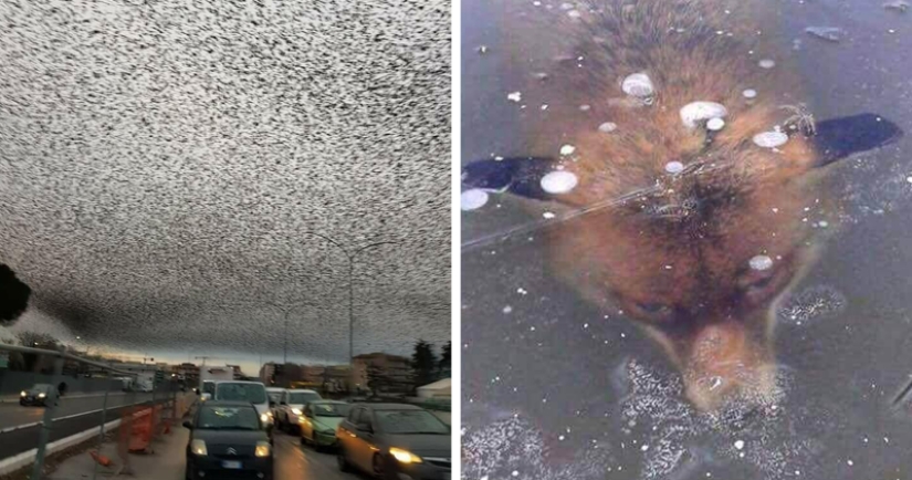 Not for the faint of heart: Mother Nature shows her dark side