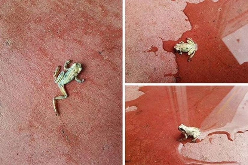 Not for the faint of heart: Mother Nature shows her dark side