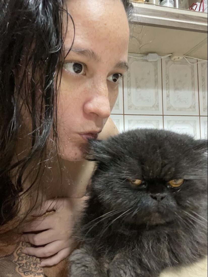 Now will Kus! 15 funny photos grumpy cat