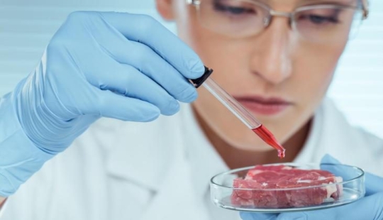 Nutrición del futuro cercano: pasta de escarabajos, leche de algas y borscht de una impresora