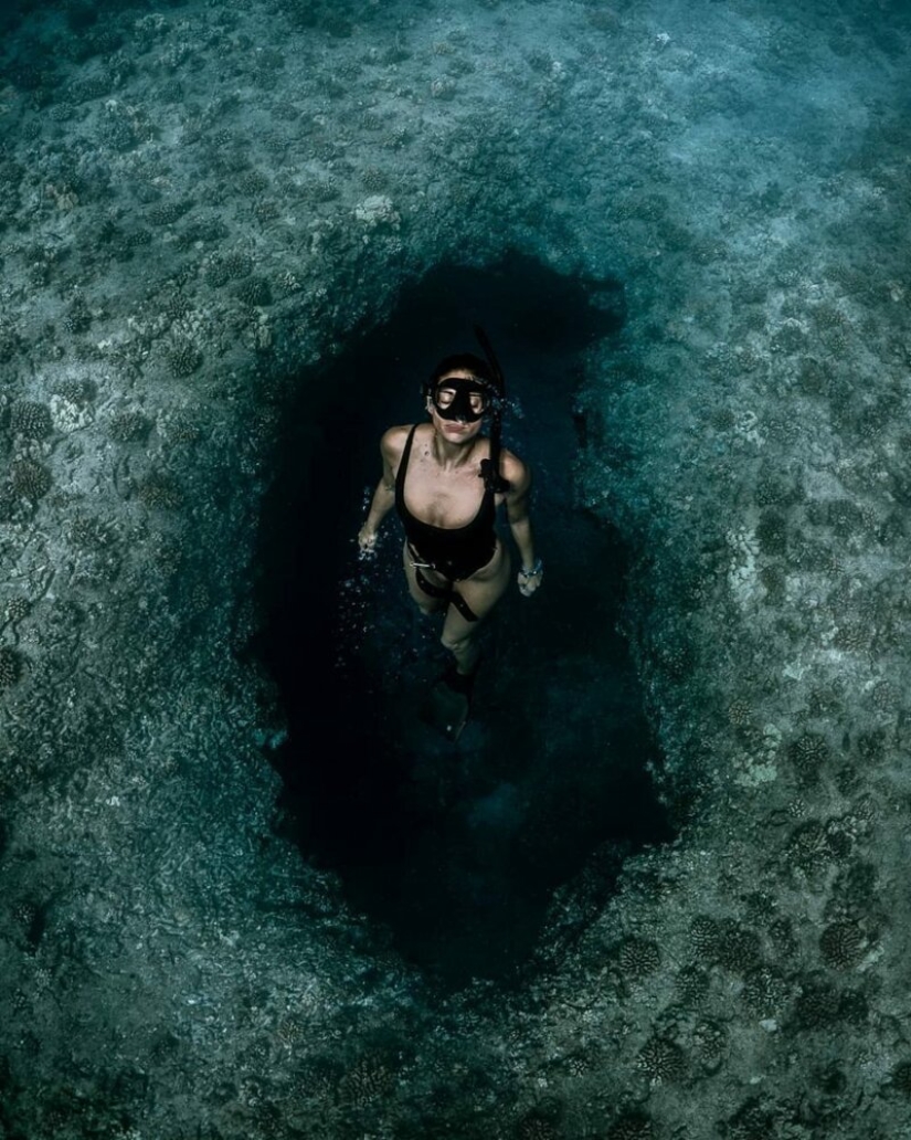 "Océano grande y azul" : un fotógrafo apneista mostró una increíble serie de tomas submarinas