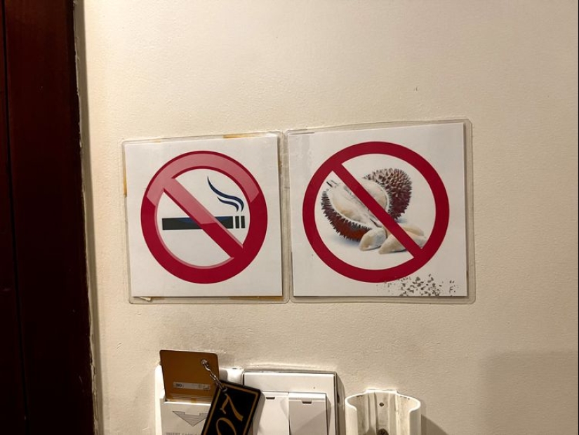 ¡Oh, este maravilloso mundo! 22 fotos interesantes de cosas y fenómenos inusuales