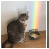 Oh, this wonderful world! 22 interesting photos of unusual things and phenomena