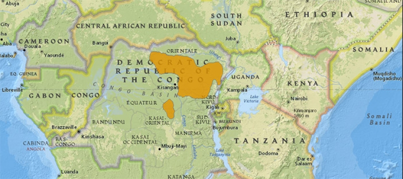 Okapi: an animal that even in the 20th century scientists considered a myth Okapi: an animal that even in the 20th century scientists considered a myth