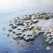 On the waves of the future: the floating city will retain the coastal villages from floods