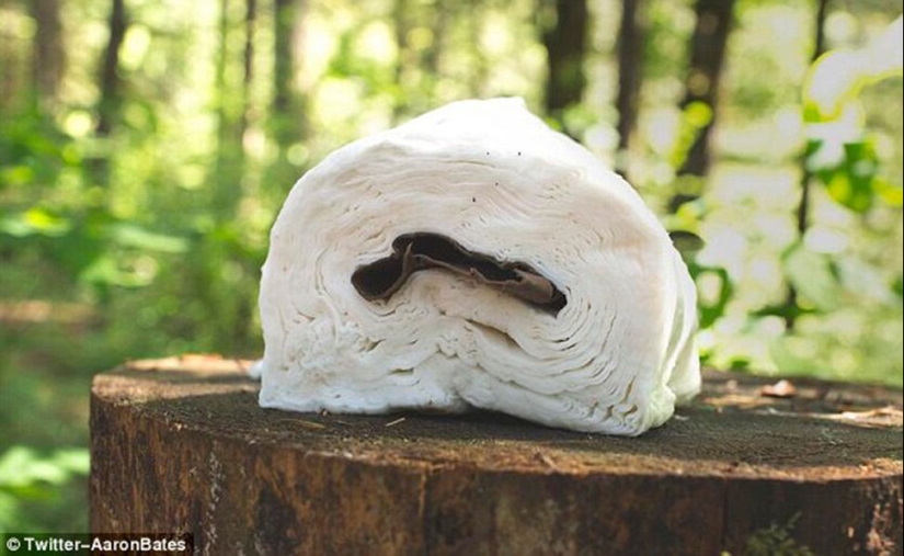 One day I was going on a hike ... Epic mistakes of lovers of outdoor recreation One day I was going on a hike ... Epic mistakes of lovers of outdoor recreation