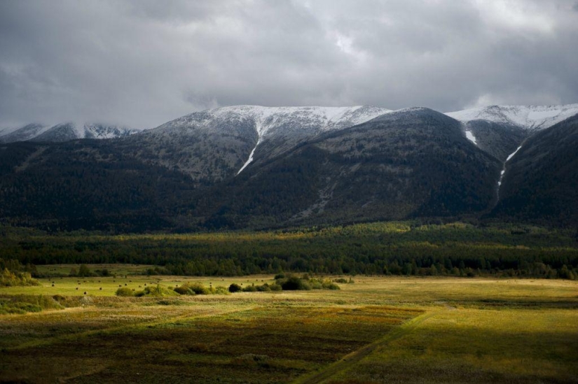 Otoño en las montañas de Kazajstán a vista de pájaro