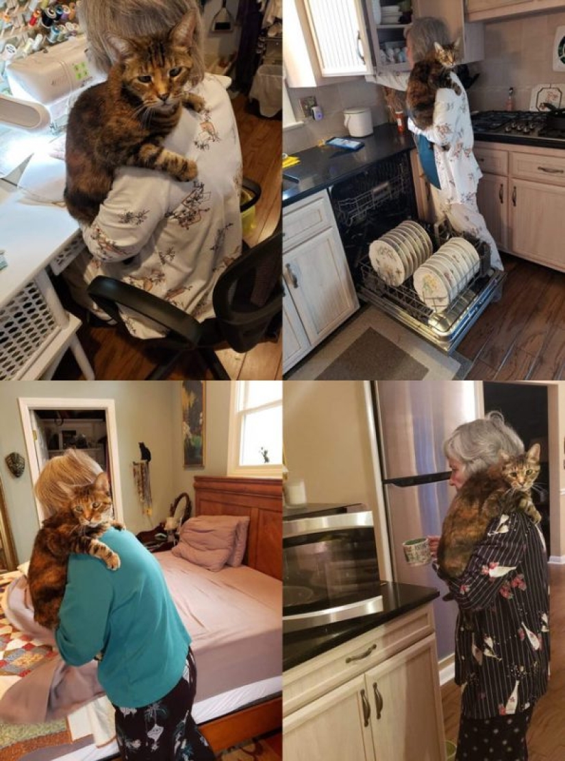 Otra porción de mimetismo que levantará tu estado de ánimo