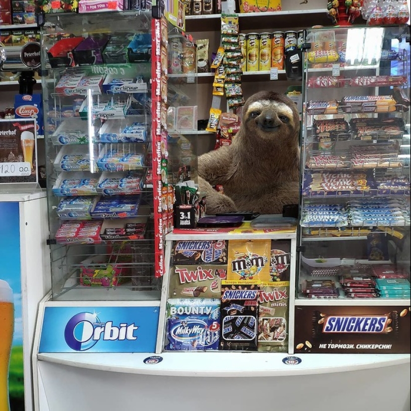 Otro Pedro: el artista pobló la ciudad con habitantes inusuales