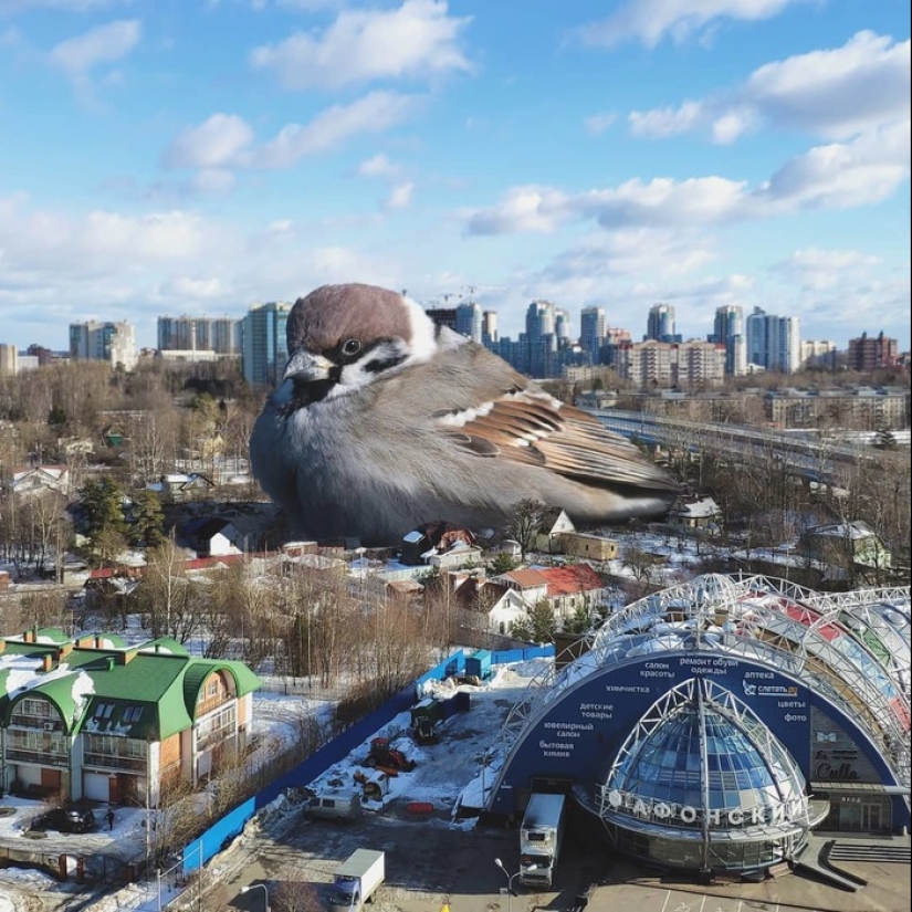 Otro Pedro: el artista pobló la ciudad con habitantes inusuales