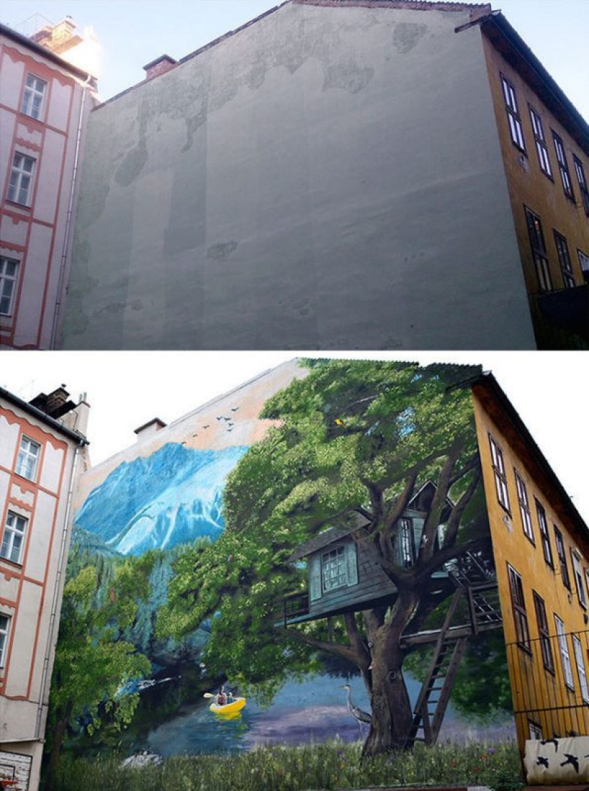 Paint the world in bright colors: the miraculous transformation of the gray buildings into works of art through graffiti