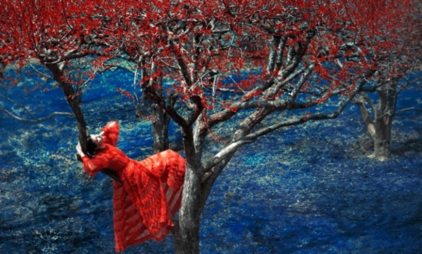 Painter with a camera Eric Madigan Heck and his magical games with color Painter with a camera Eric Madigan Heck and his magical games with color