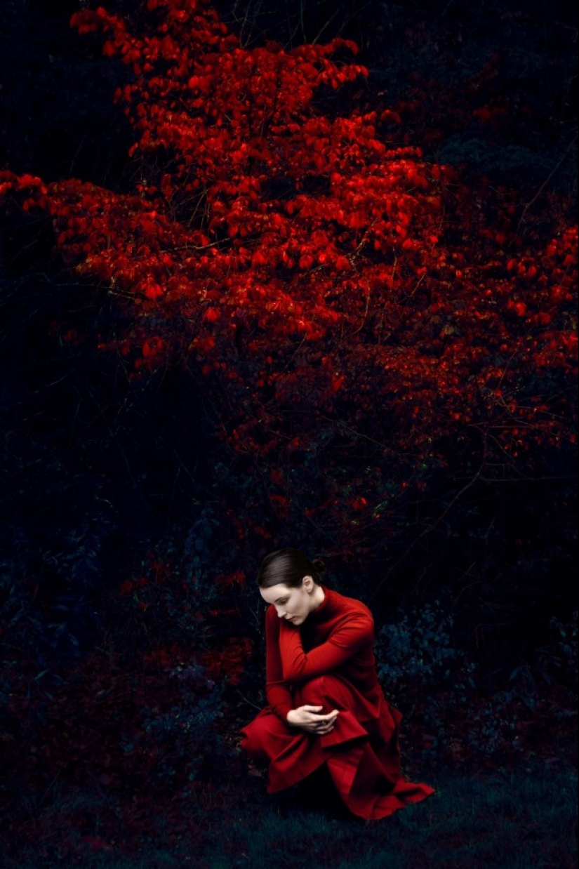 Painter with a camera Eric Madigan Heck and his magical games with color Painter with a camera Eric Madigan Heck and his magical games with color