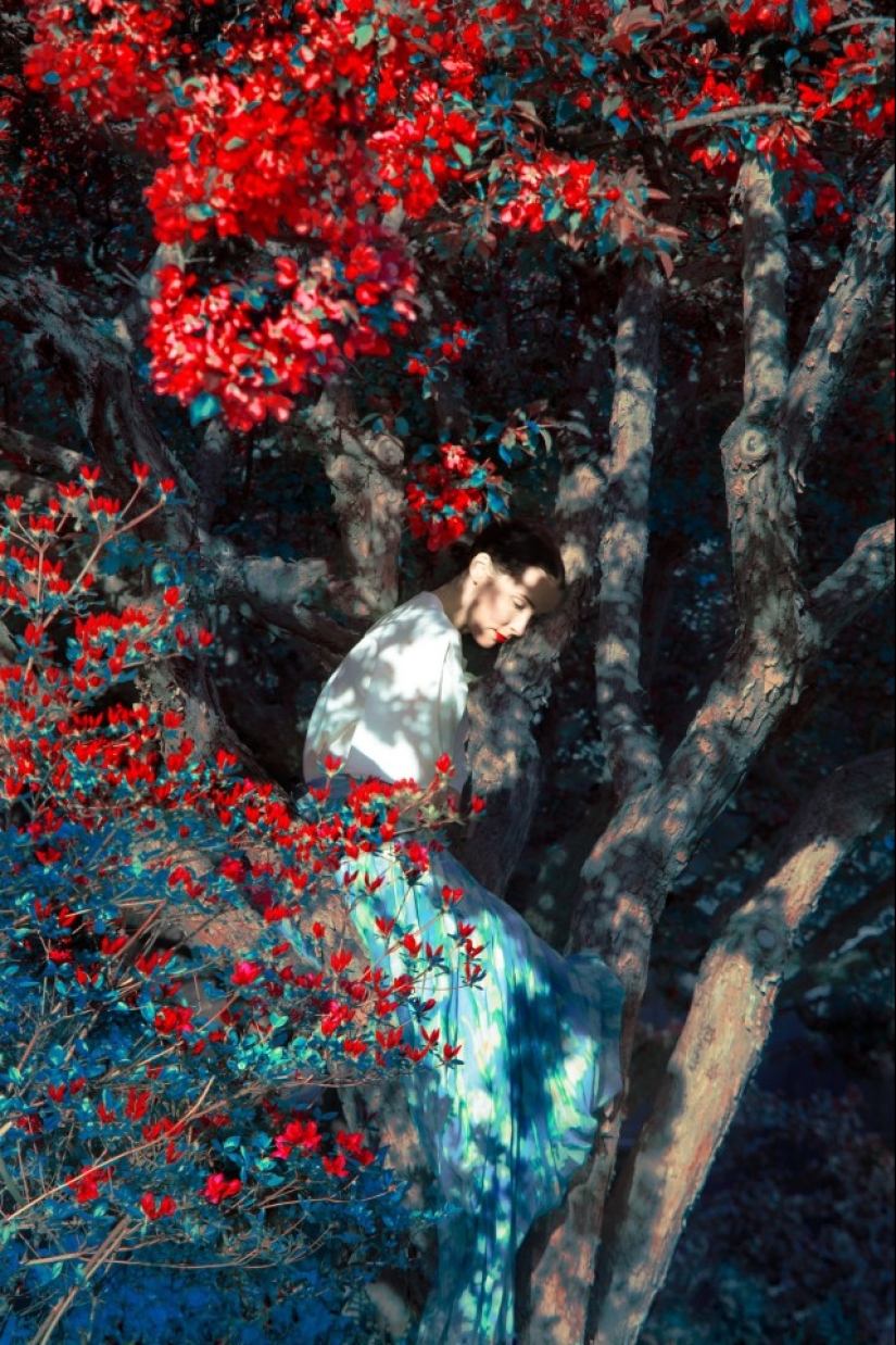 Painter with a camera Eric Madigan Heck and his magical games with color Painter with a camera Eric Madigan Heck and his magical games with color