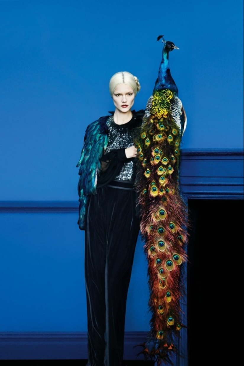 Painter with a camera Eric Madigan Heck and his magical games with color Painter with a camera Eric Madigan Heck and his magical games with color