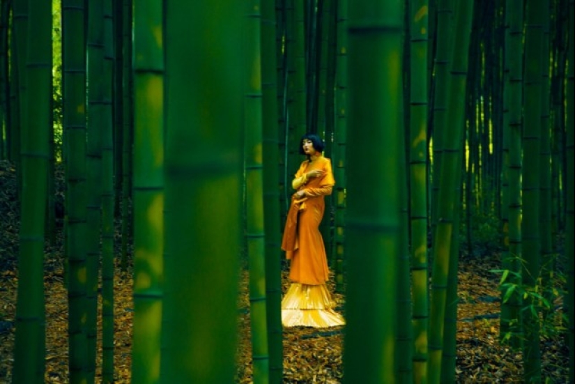 Painter with a camera Eric Madigan Heck and his magical games with color Painter with a camera Eric Madigan Heck and his magical games with color