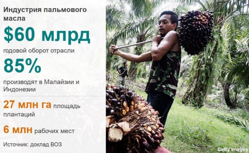 Palm oil exposed: World Health Organization report