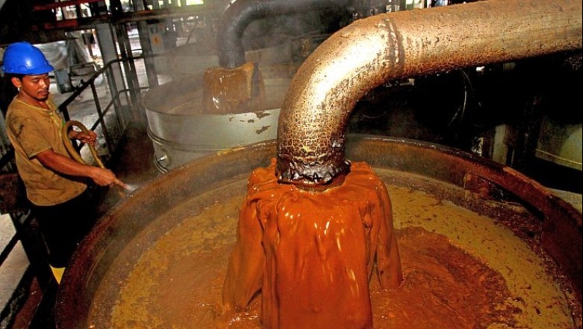 Palm oil exposed: World Health Organization report