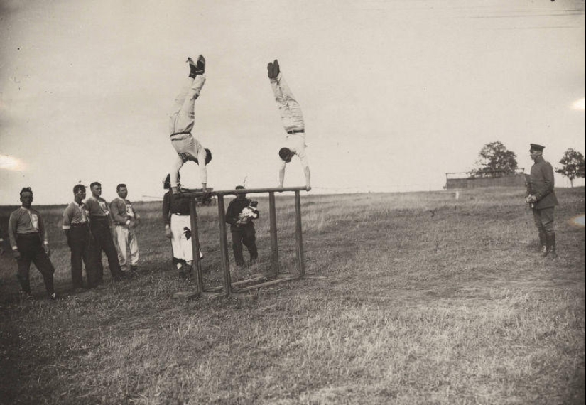 Palomas y máscaras de gas: el otro lado de la Primera Guerra Mundial