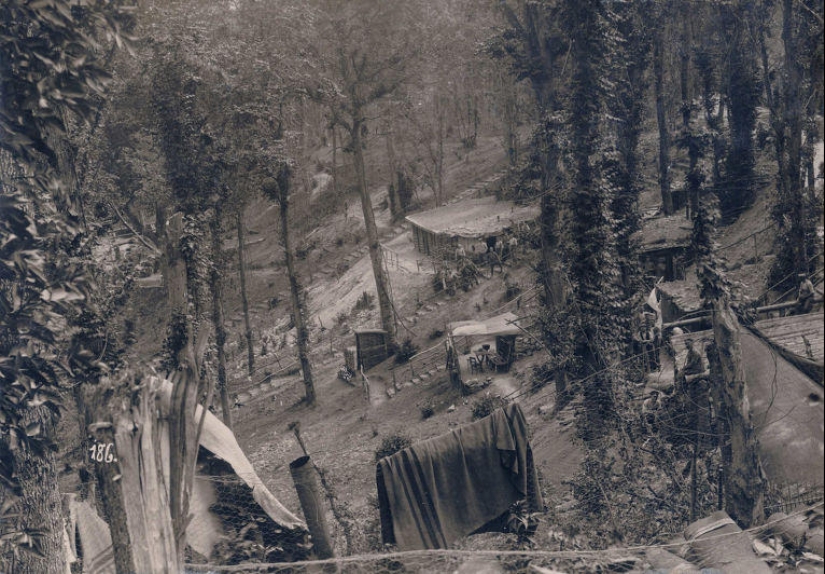 Palomas y máscaras de gas: el otro lado de la Primera Guerra Mundial