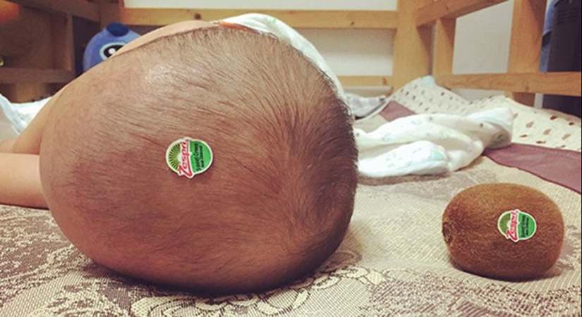 Papá-Sombrero: Por qué no se puede confiar en los niños pequeños con sus propios padres Papá-Sombrero: Por qué no se puede confiar en los niños pequeños con sus propios padres