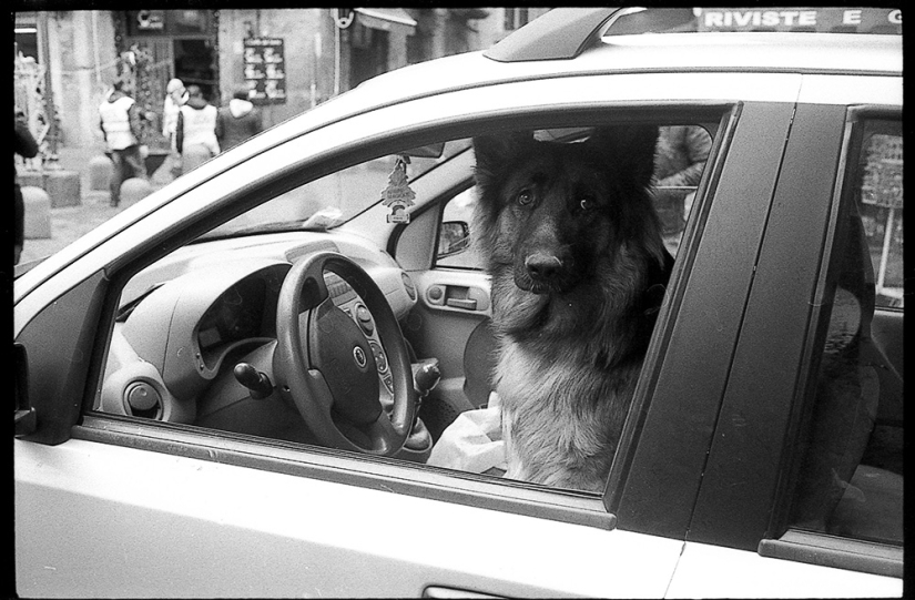 Paradise inhabited by devils: all the vices of St. Naples through the lens of Robbie McIntosh Paradise inhabited by devils: all the vices of St. Naples through the lens of Robbie McIntosh