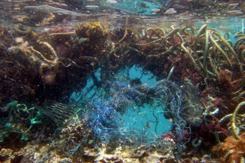 Parche de basura del pacífico: gran isla de basura del tamaño de Francia