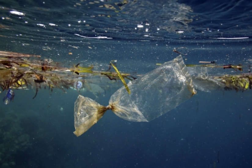 Parche de basura del pacífico: gran isla de basura del tamaño de Francia