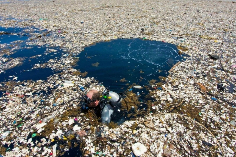 Parche de basura del pacífico: gran isla de basura del tamaño de Francia