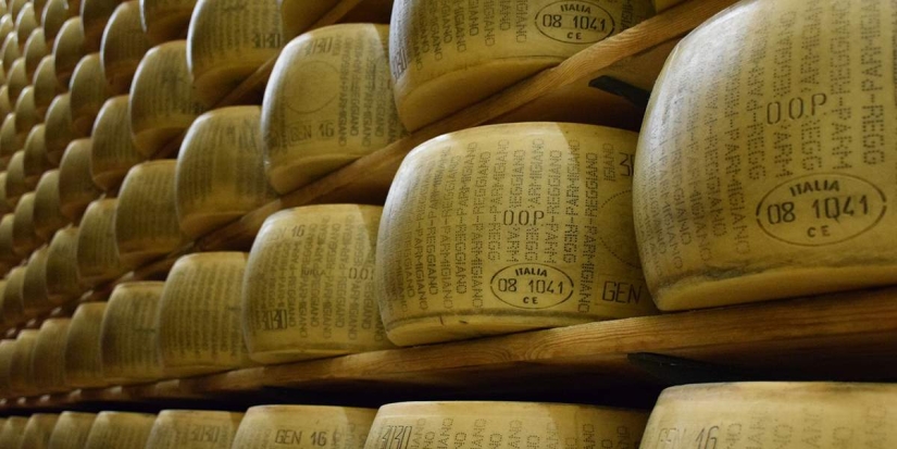 Parmesan-delicious, but expensive: the passion of English sailors for Italian cheese Parmesan-delicious, but expensive: the passion of English sailors for Italian cheese