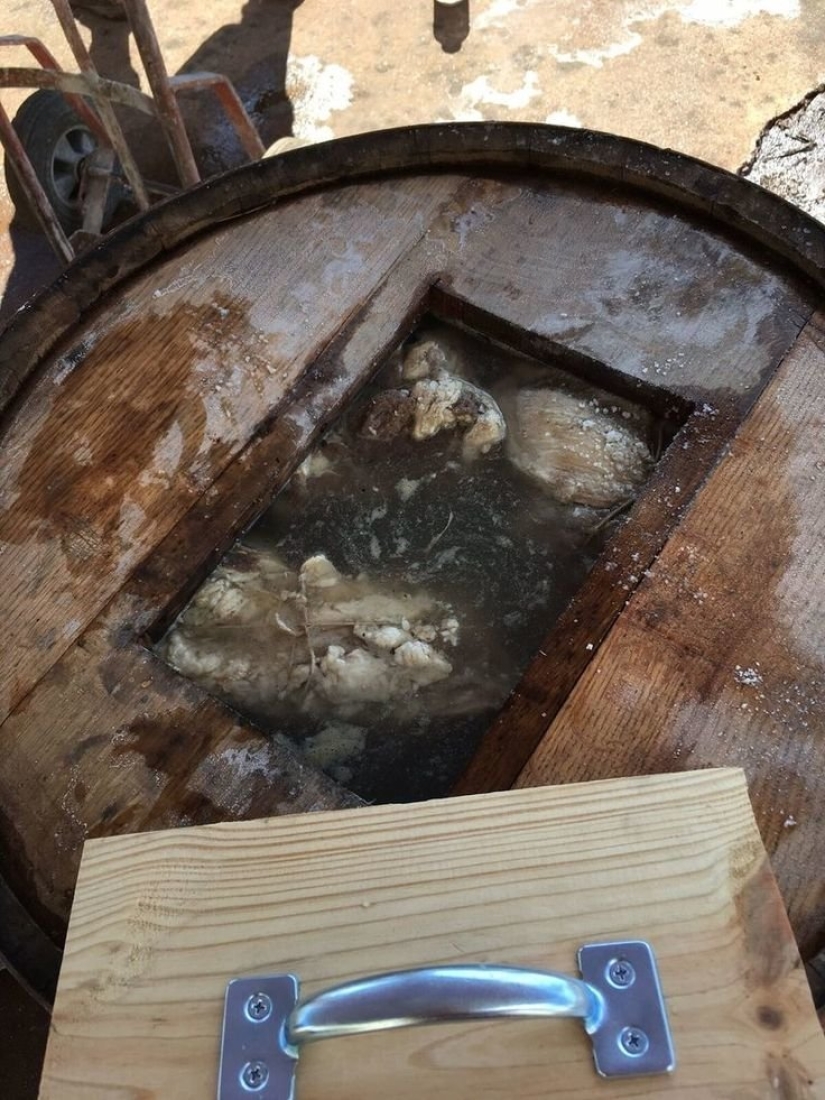 Parmesano-delicioso, pero caro: la pasión de los marineros ingleses por el queso italiano