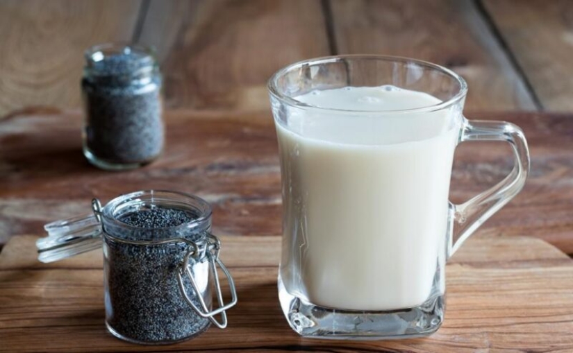 Pasteles de vesiga, la momia de ganso, Limpopo y más de 5 platos inusuales en Rusia