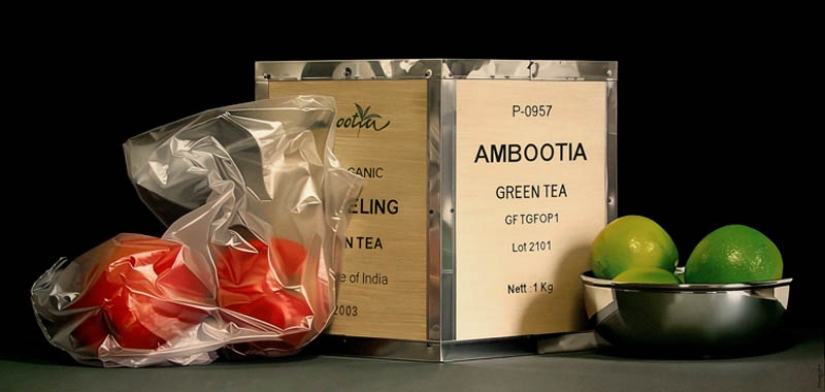 Pedro Campos and his oil paintings, similar to photos Pedro Campos and his oil paintings, similar to photos