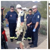 People showed their bad day. And they are really sorry