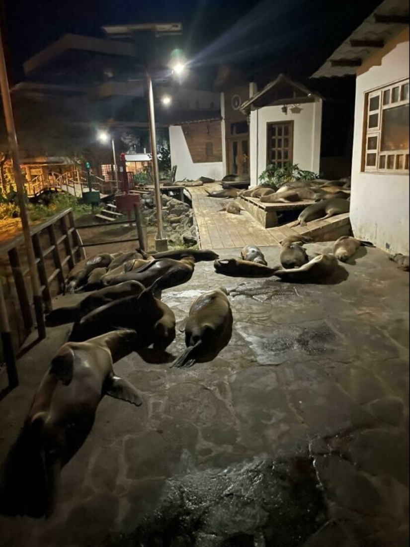 People showed their bad day. And they are really sorry People showed their bad day. And they are really sorry