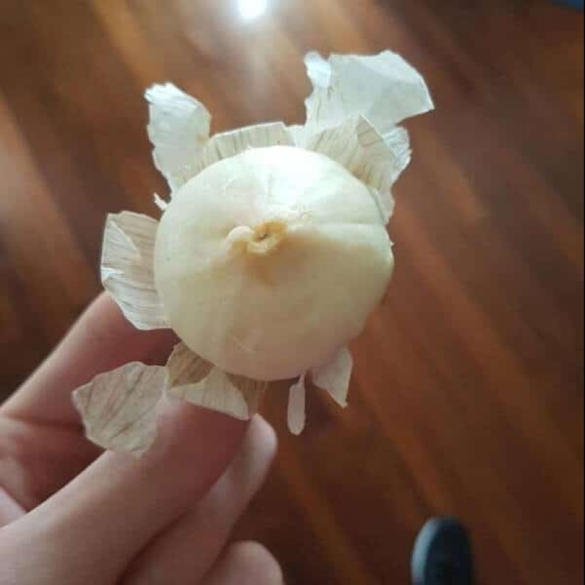 ¡Perfeccionistas, hola! 25 fotos donde todo encaja perfectamente ¡Perfeccionistas, hola! 25 fotos donde todo encaja perfectamente