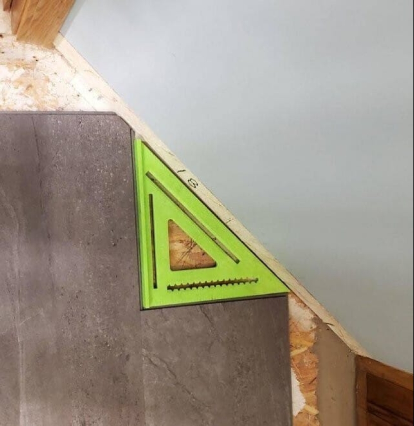 ¡Perfeccionistas, hola! 25 fotos donde todo encaja perfectamente ¡Perfeccionistas, hola! 25 fotos donde todo encaja perfectamente