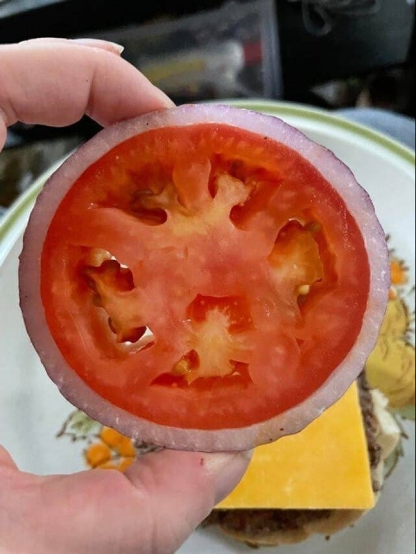 ¡Perfeccionistas, hola! 25 fotos donde todo encaja perfectamente ¡Perfeccionistas, hola! 25 fotos donde todo encaja perfectamente