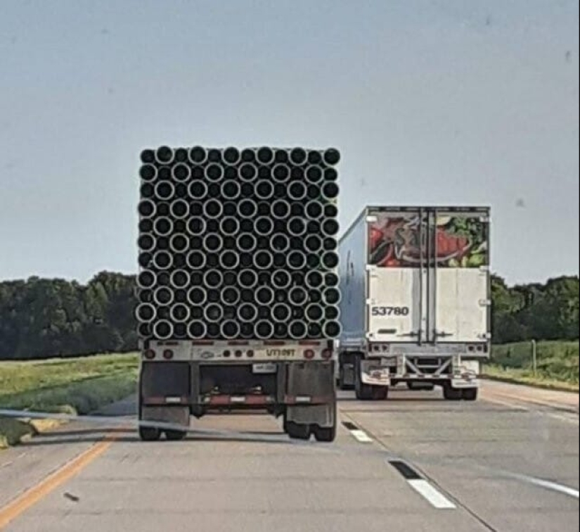 ¡Perfeccionistas, hola! 25 fotos donde todo encaja perfectamente ¡Perfeccionistas, hola! 25 fotos donde todo encaja perfectamente