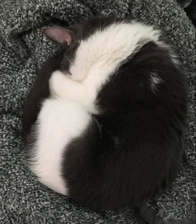 Perfectionists, hello! 25 photos where everything perfectly matched Perfectionists, hello! 25 photos where everything perfectly matched