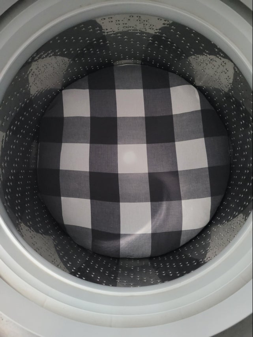 Perfectionists with love: 22 photos where everything is perfect Perfectionists with love: 22 photos where everything is perfect