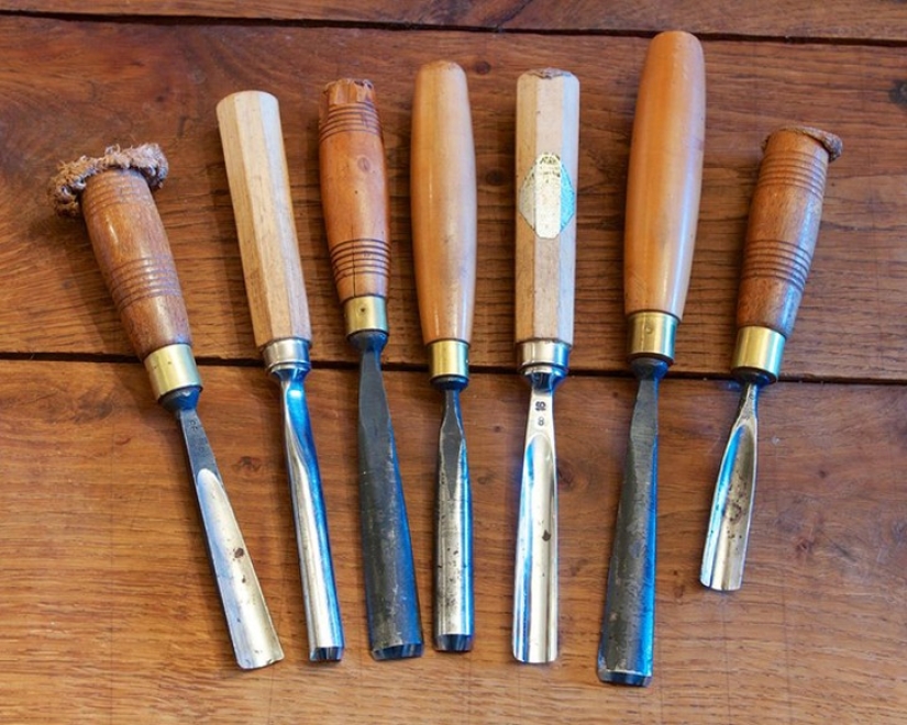 Perfecto minimalismo: animales lindos, sorprendente en su elegancia