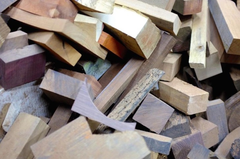 Perfecto minimalismo: animales lindos, sorprendente en su elegancia