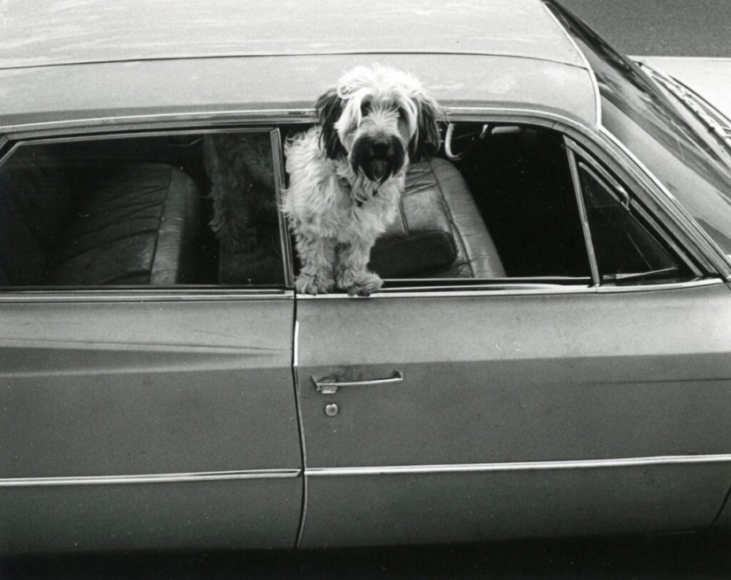 Photographer Gary Kruger is a virtuoso of moments, enchanted by the street Photographer Gary Kruger is a virtuoso of moments, enchanted by the street