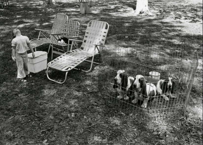 Photographer Gary Kruger is a virtuoso of moments, enchanted by the street Photographer Gary Kruger is a virtuoso of moments, enchanted by the street